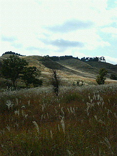 a0078106_23412537.jpg