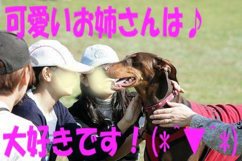 e0100007_13363647.jpg