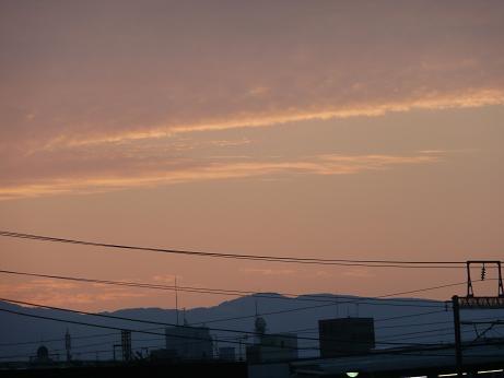 c0097309_99196.jpg