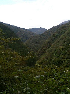 f0017409_200208.jpg