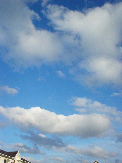 空の雲_d0039111_14253416.jpg