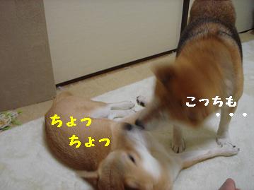f0086814_18551464.jpg