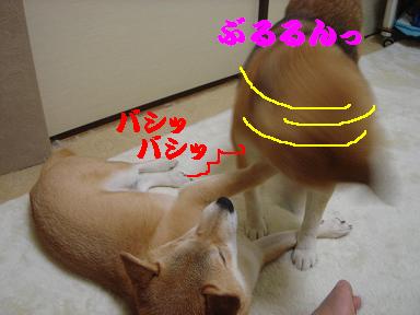 f0086814_18575469.jpg