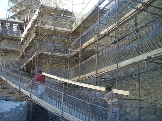 e0070019_1175580.jpg