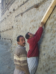 e0070019_1183068.jpg
