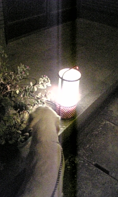 c0114121_21334191.jpg
