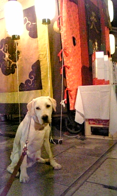 c0114121_21463721.jpg