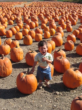 Pumpkin Patch_f0151222_14182397.jpg