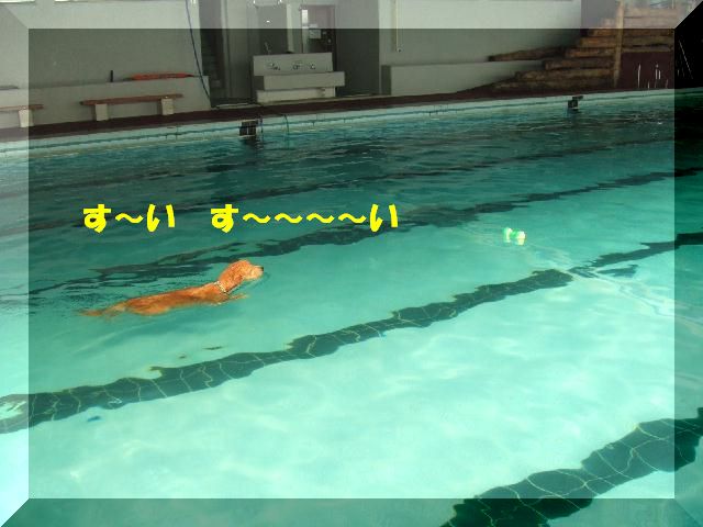 a0105425_10142966.jpg