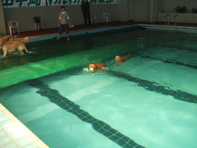 a0105425_1014426.jpg