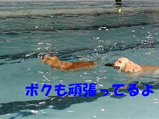 a0105425_1015157.jpg