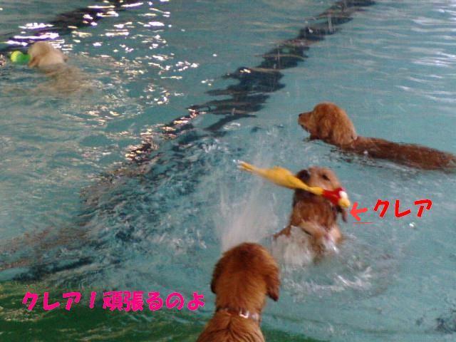 a0105425_10155080.jpg