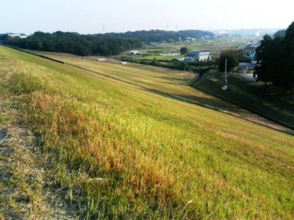 e0024126_2025941.jpg