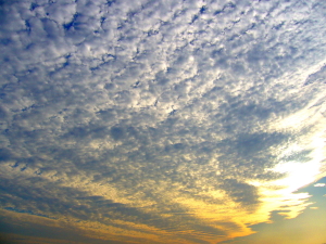 e0064227_15595763.jpg