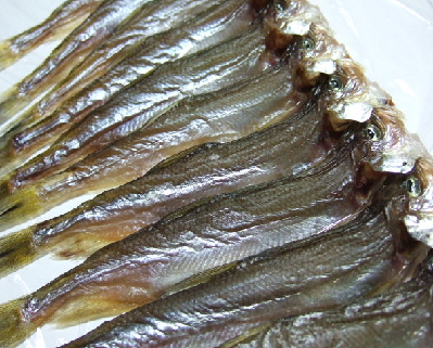 c0065635_2324719.jpg