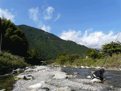a0056140_1642982.gif