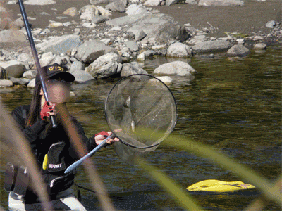 a0056140_16592521.gif