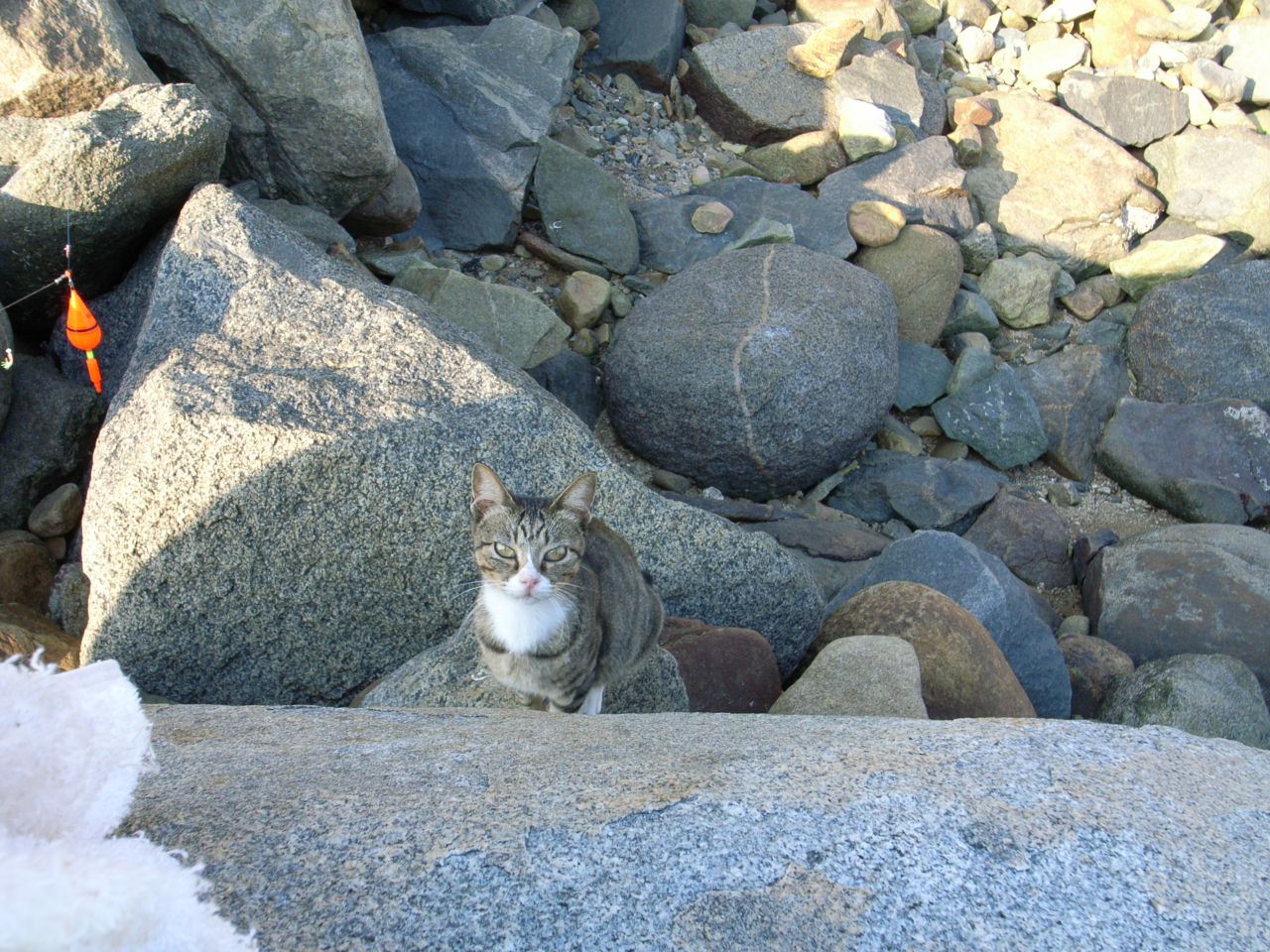 d0073743_21141764.jpg