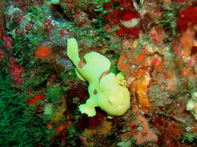 d0058549_20423554.jpg