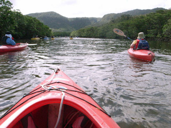 c0092152_54633.jpg