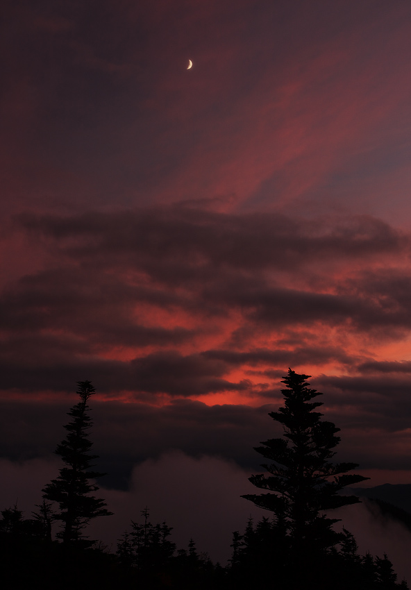 f0036357_1115926.jpg