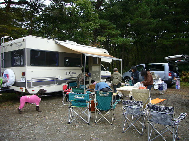 f0057565_1171950.jpg