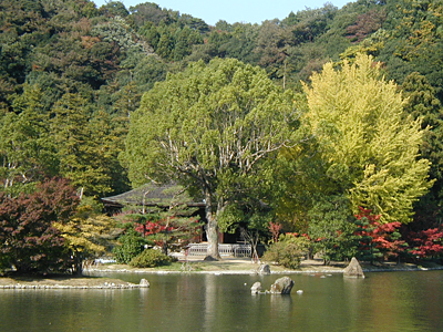 c0087371_11353016.jpg
