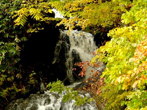 ニセコの紅葉（一）　ニセコアンベツ川に流れる滝_d0084473_17392141.jpg