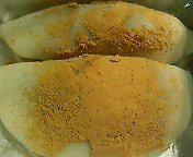 f0016981_1362632.jpg
