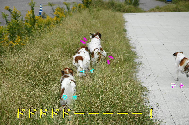 c0075585_8473539.jpg