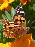 f0024090_23223851.jpg