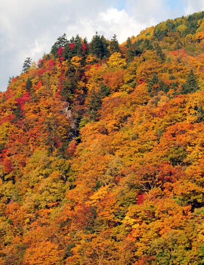 黄金色の定山渓温泉_d0117900_9375727.jpg