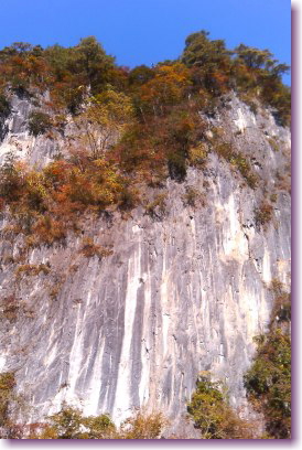 c0048701_20493767.jpg