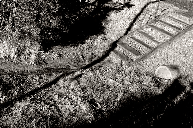 c0133911_18194490.jpg