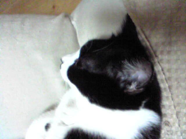 f0024514_06674.jpg