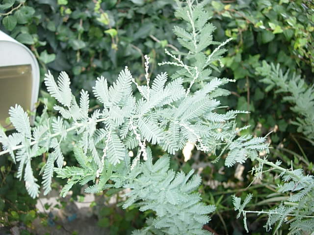 c0085916_0164145.jpg
