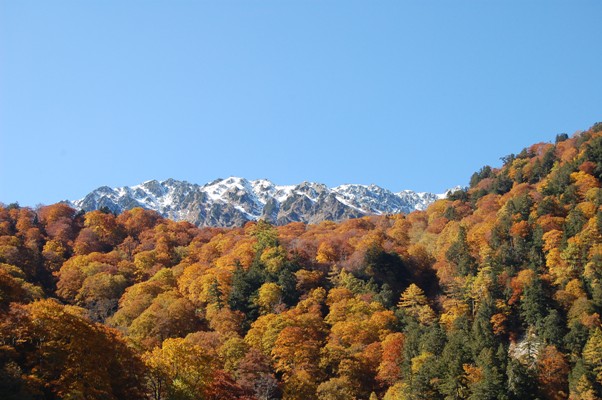 f0137616_22102364.jpg