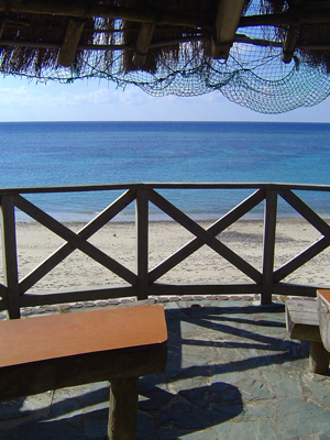 c0057821_228511.jpg