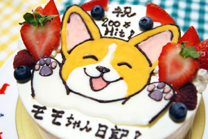 200万Hit祝ケーキ!_d0102523_23222460.jpg