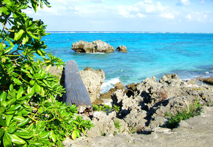 f0038727_2373369.jpg