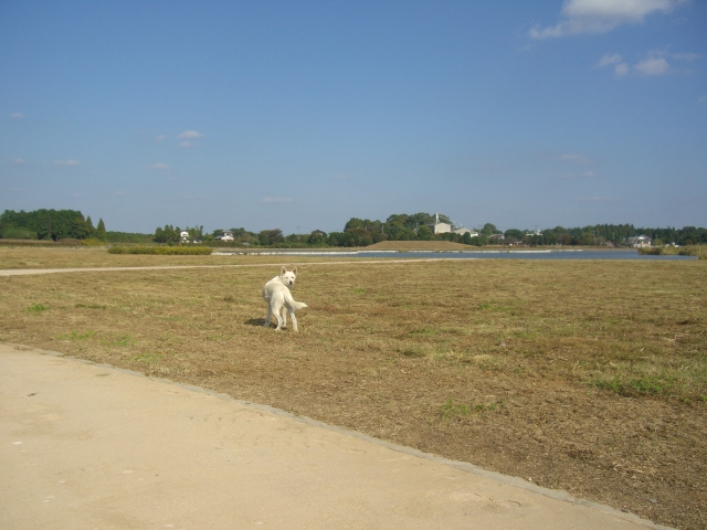 c0123029_2354276.jpg