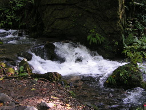 東北旅行その5_c0048736_11451944.jpg