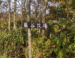 f0097539_20425171.jpg