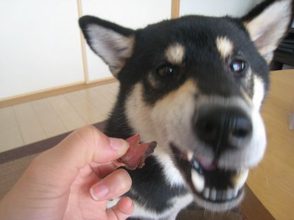 f0058241_22122279.jpg