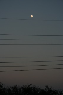 e0126350_17182443.jpg
