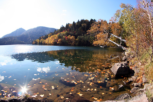 然別湖アンド駒止湖・大雪山国立公園_d0081851_16255694.jpg