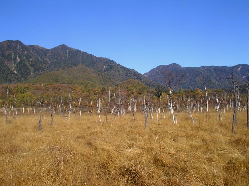 c0045352_17652.jpg