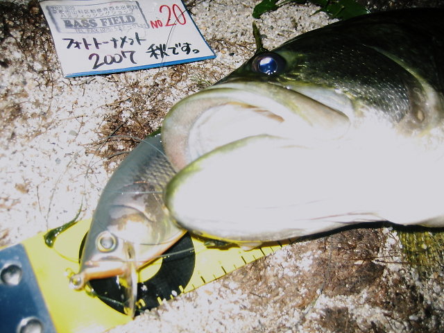 c0127358_0242773.jpg