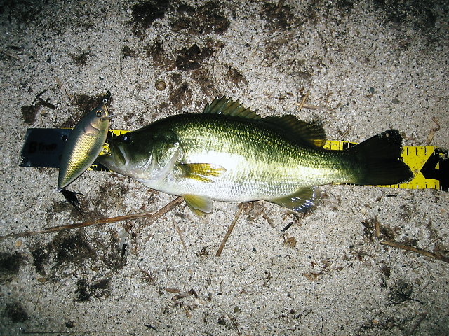 c0127358_053863.jpg