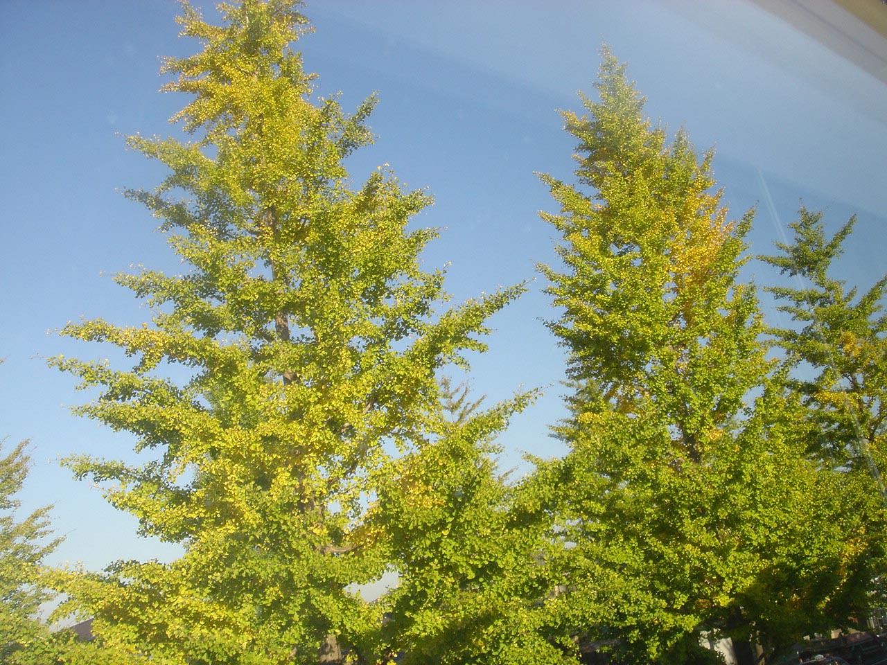 d0115262_2330377.jpg